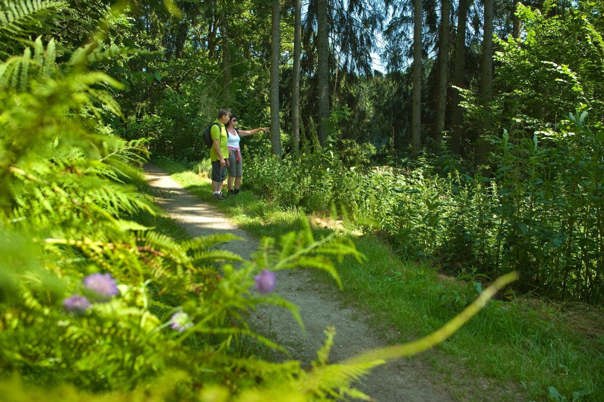 Pension Bergstub'N Saldenburg Экстерьер фото